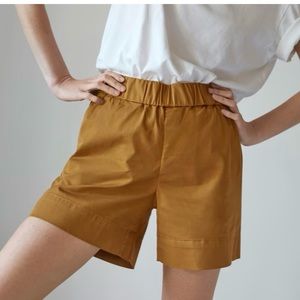 NWOT Everlane Burnt Orange Chino Shorts Size 6